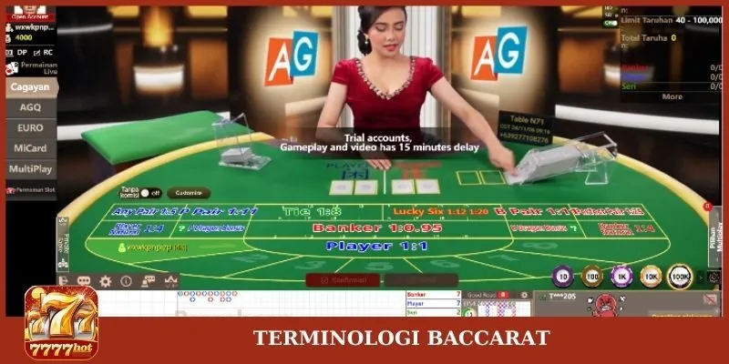 Istilah-istilah dalam Baccarat